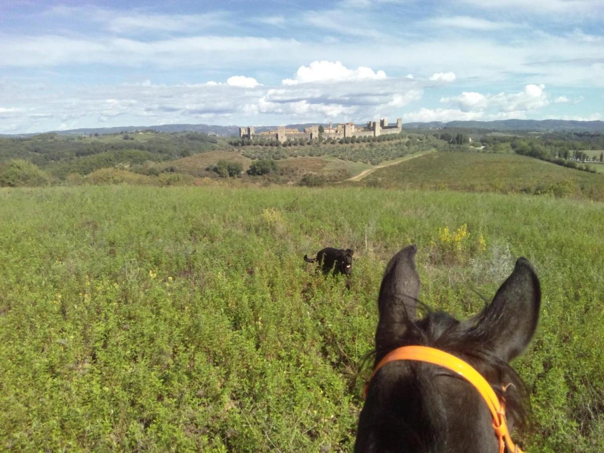 Il Mandorlo Di Monteriggioni Appartement Buitenkant foto