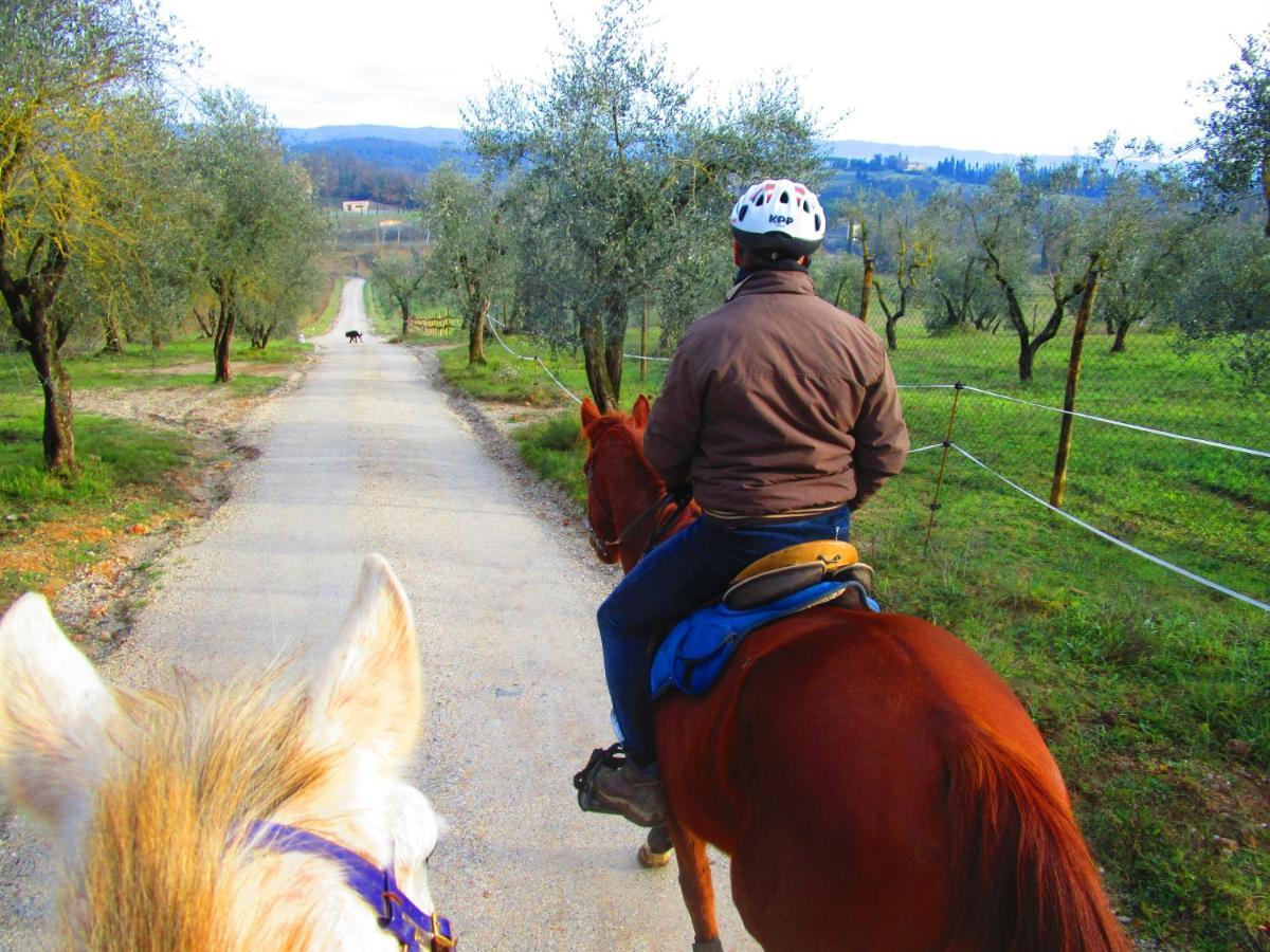 Il Mandorlo Di Monteriggioni Appartement Buitenkant foto